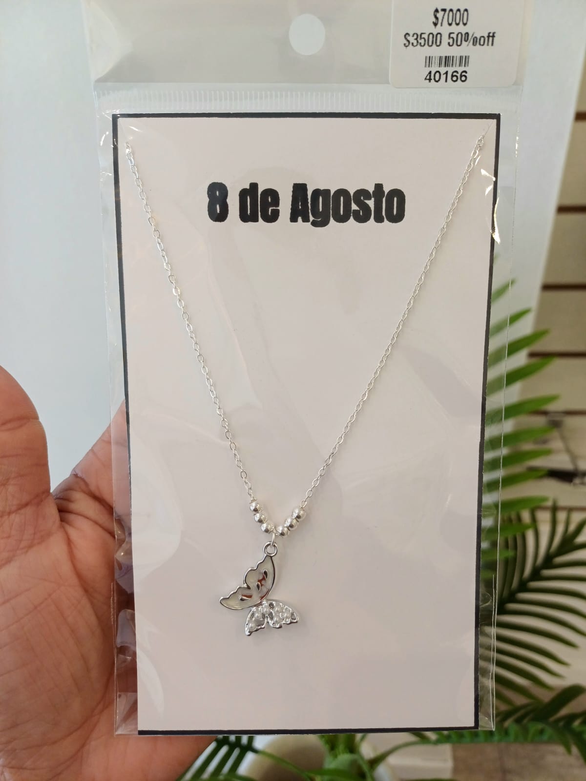 WhatsApp Image 2026-03-12 at 19.25.23