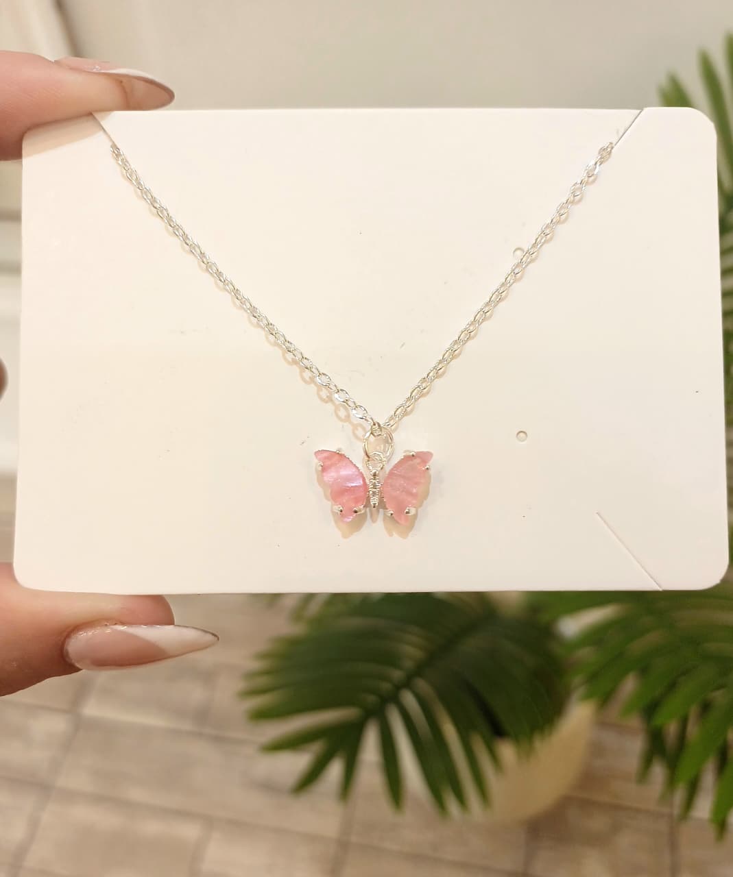 WhatsApp Image 2026-01-03 at 18.16.01