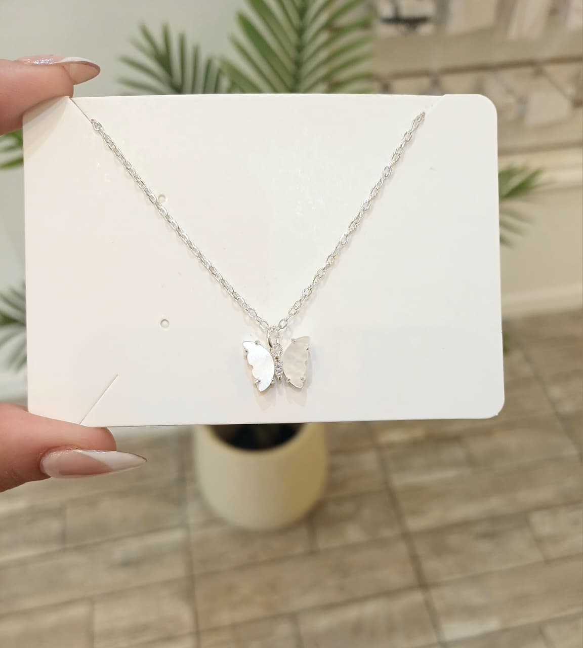 WhatsApp Image 2026-01-03 at 18.16.06 (1)