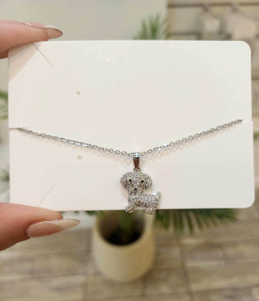 WhatsApp Image 2026-01-03 at 18.26.45